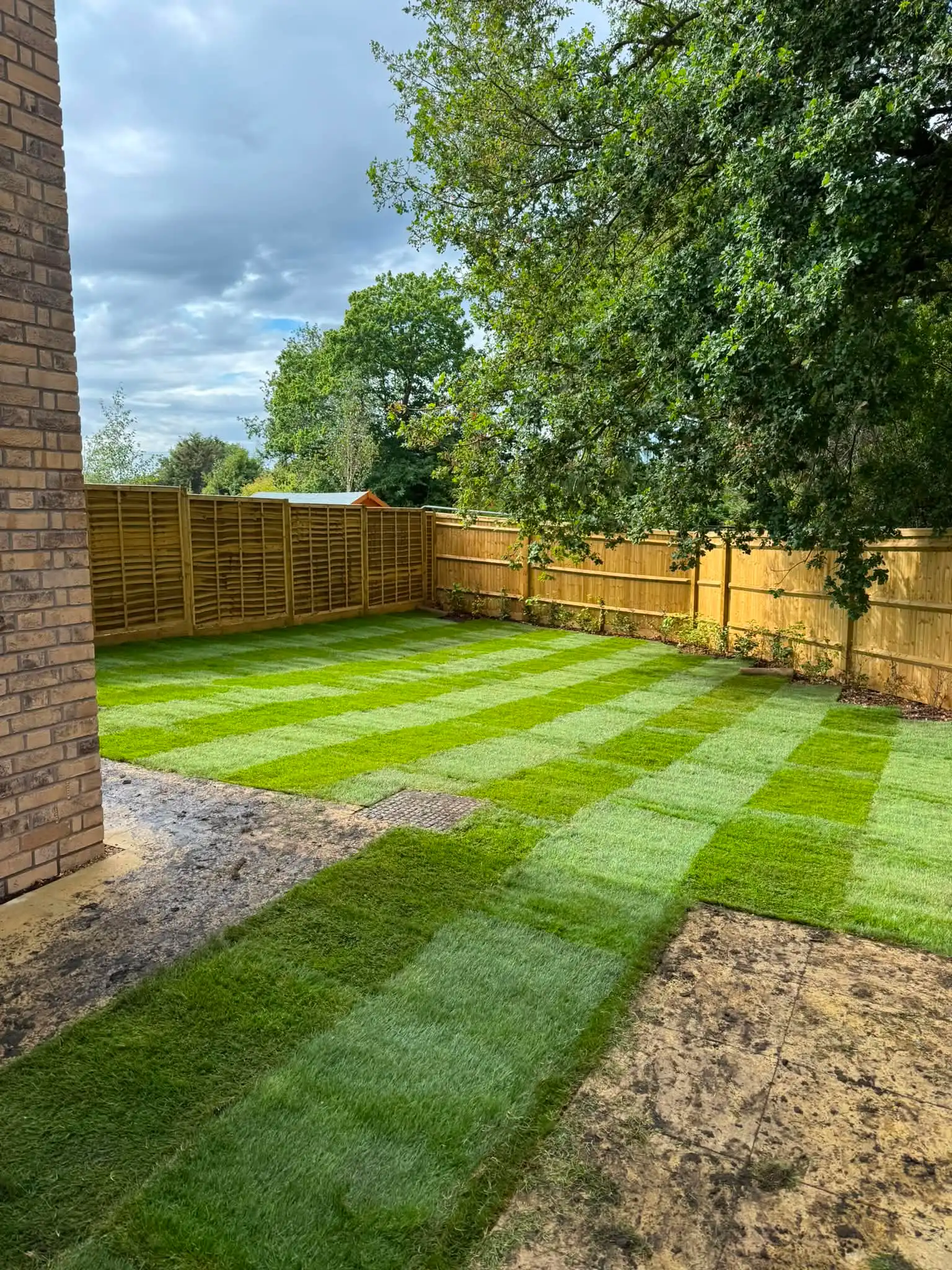 Landscaping — image 9